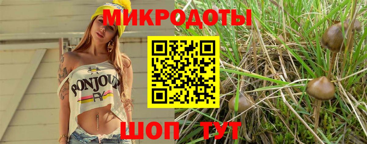 Псилоцибиновые грибы ЛСД  Вход с VPN  Северодвинск 